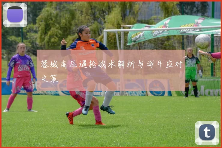 蓉城高压逼抢战术解析与海牛应对之策