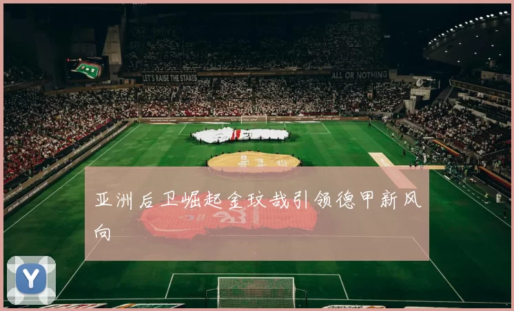 亚洲后卫崛起金玟哉引领德甲新风向